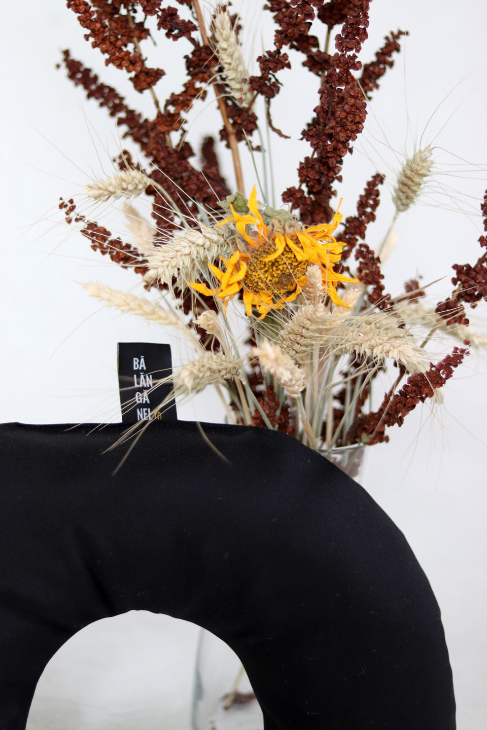 Poza Perna Neagra de Hamac