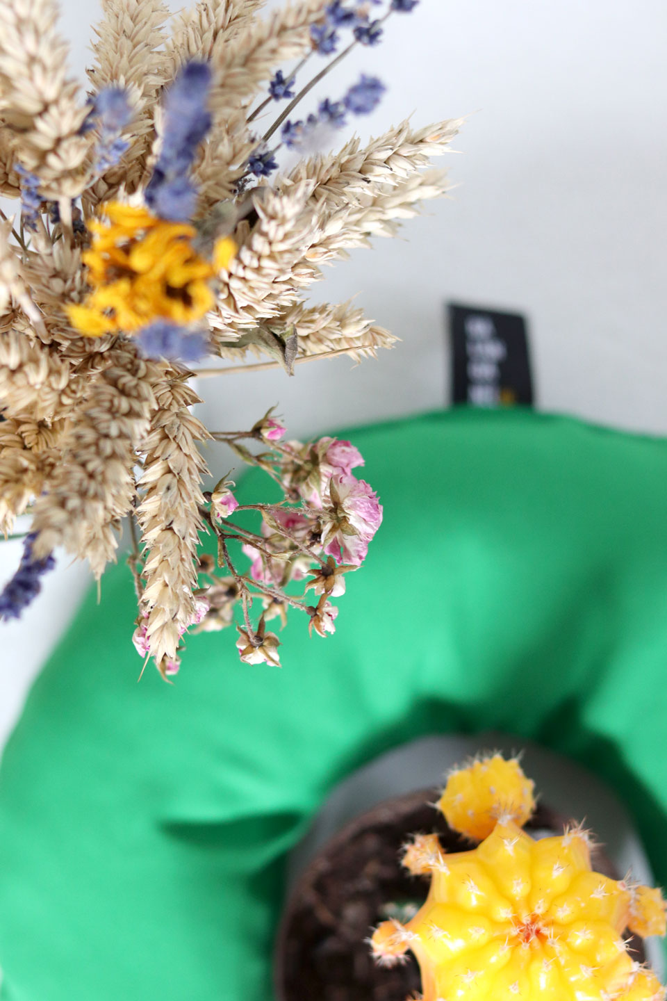 Poza Perna Verde de Hamac