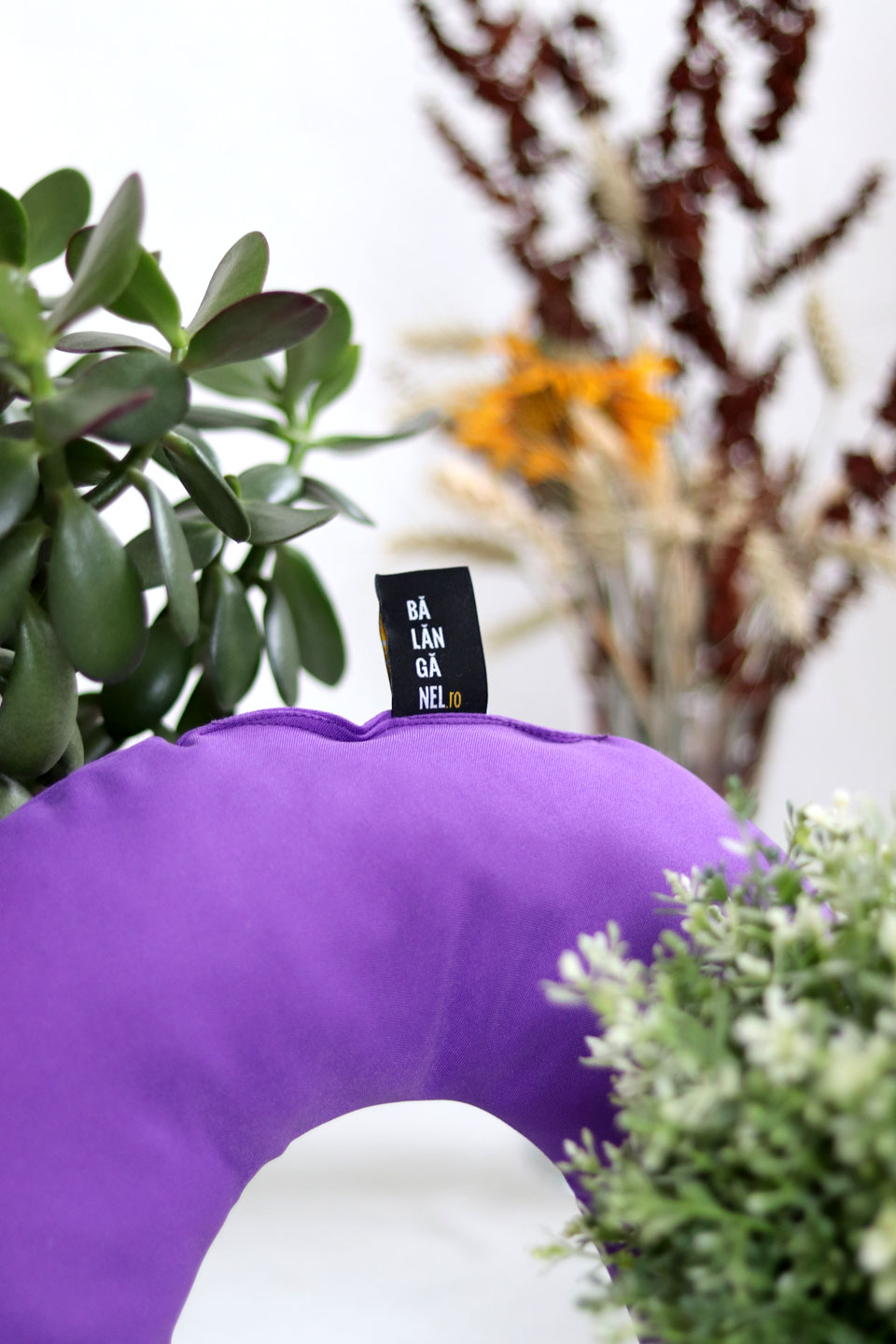 Poza Perna Mov de Hamac